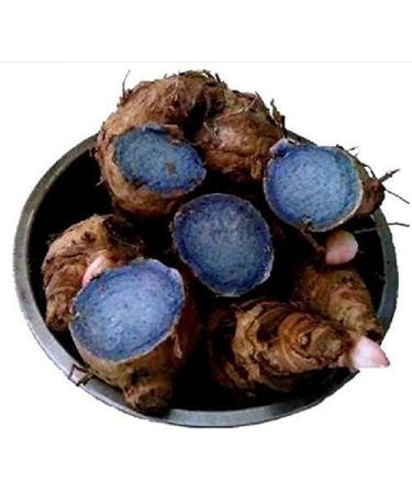 JARA Valli Organics Karu Manjal Black Turmeric 100gm