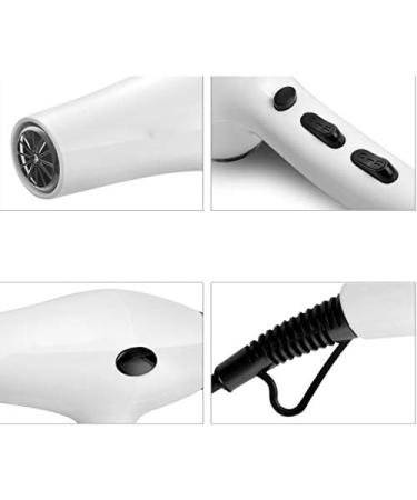 ADITAM Female Male Shop New Hair Dryer Intelligent Temperature Control Hot and Cold Wind Professional Hair Salon Home Hair Dryer/B Double The Comfort - Buy Online on GoSupps.com