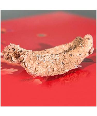 XLSEAFOOD Premium Grade Small Alaska Sea Cucumber - 0.5 lb Pack (16-22 pcs) - Buy Online on GoSupps.com
