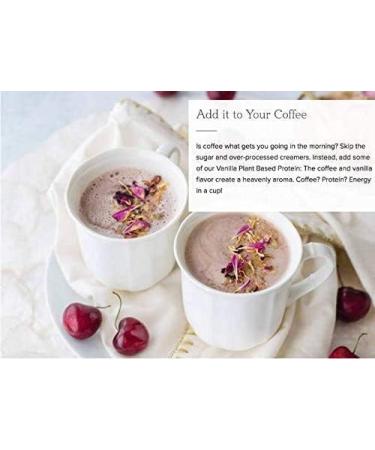 Truvani Vegan Pea Protein Powder - Banana Cinnamon | 20g Organic Plant-Based Protein | Keto Gluten & Dairy Free Low Carb No Added Sugar | 1 Serving (Pack of 1 - Buy Online on GoSupps.com