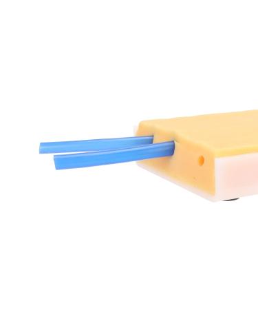 Venipuncture Pad - Silicone Injection Training Pad for Students - Reusable & Accurate Simulation - Buy Online on GoSupps.com