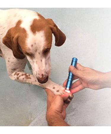 playhair Red Led Light Therapy Device -Cat Dog Horse. Pain Relief Hip Joint Mobility.and Inflammation Relief Advanced Pain Relief - Buy Online on GoSupps.com