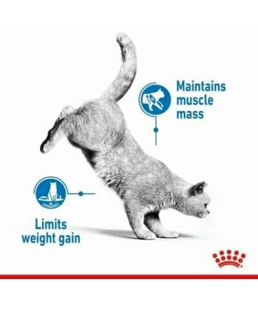 Royal Canin Light Weight Care in Jelly Adult Wet Cat Food 85g (Pack of 48) - Buy Online on GoSupps.com
