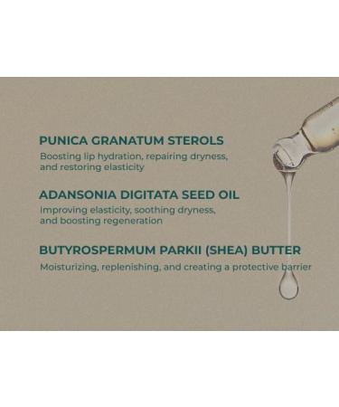 INNA Organic Lip Balm Moisturizing Fine Line Care & 100% Vegan Lip Serum EWG & COSMOS Certified | Frankincense Essential Oils Infused Skin Care | Luxury Clean Beauty - Buy Online on GoSupps.com