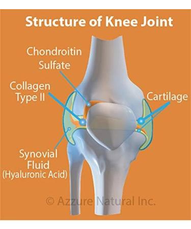 TruPure Bioactive Collagen Type II +MSM Effective Joint Care Formula 2 400 mg of Collagen Type II per daily serving 180 Capsules 30 days supply. Helps to reduce joint pain due to Osteoarthritis and promote the healing of joint cartilage injuries. - Buy Online on GoSupps.com
