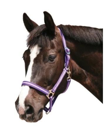 Kerbl Nylon Halter Hippo Nylon Halter for Pony Shetty Full Cob XFull 6 Colors 1 dark purple