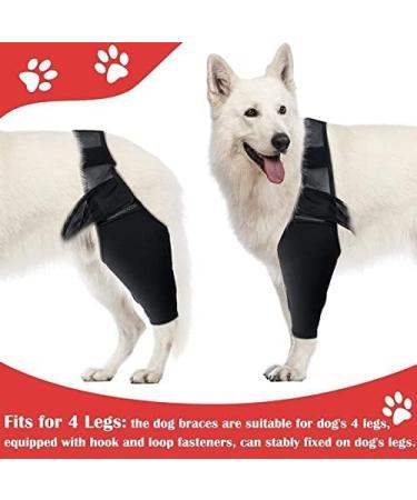 Dog Leg Bracket Pet Dog Leg Support Bracket Dog Hind Leg Protection Device Adjustable Knee Bracket Leg Bracket Dog Arthritis Bracket for Dog Hind Leg Rehabilitation L - Buy Online on GoSupps.com