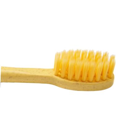 Frcolor 3ST Eco-Friendly Toothbrushes | Comfortable Sustainable Dental Brushes with Small Head & Surprise Colors - Perfect for International Shipping - Buy Online on GoSupps.com
