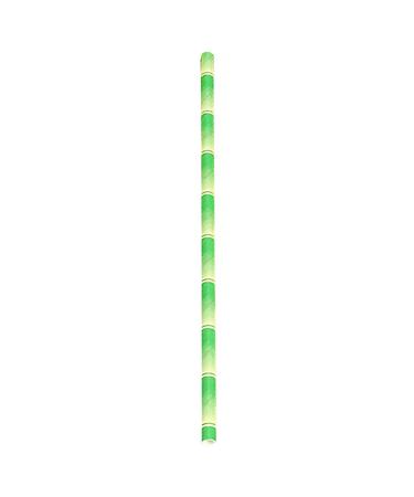 Flat Paper Straw Food Grade Paper Straw Bamboo Pattern Compatible with Club Green