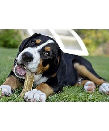 Bulk Multipack - 12 Natural Rawhide Pressed Bones for Dogs Munch & Crunch - Long Lasting Hide Dog Chews Snacks Treats - With a Guide to Happy & Healthy Dogs Booklet - 5 Item Bundle - Buy Online on GoSupps.com