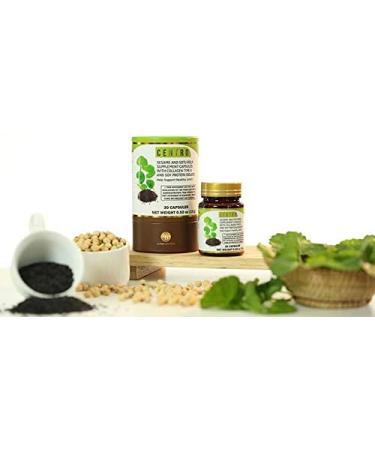 Centro Joints Support | Premium Joint Care | International Shipping Available - Buy Online on GoSupps.com