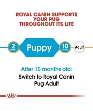 Royal Canin Pug Puppy Complete Dry Dog Food 1.5kg - Buy Online on GoSupps.com