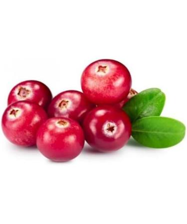 Toschi | Canneberges pr par pour boissons base de jus de fruits | Sirop sans alcool pour m lange id al Cocktails et Long Drink - 2 x 1 litre - Buy Online on GoSupps.com