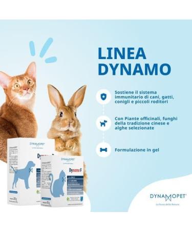 Dynamopet Dynamo F Cats - 20 Delicious Treats (2.5g) | International Shipping Available - Buy Online on GoSupps.com