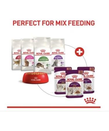 Royal Canin Sensory Smell in Jelly Wet Cat Food 85g (Pack of 48) - Buy Online on GoSupps.com