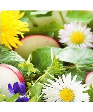 12 Liver Friends - 180 Vital Capsules with Bitter Herbs & Artichoke - Pure Nature No Additives - Shop Internationally - Buy Online on GoSupps.com