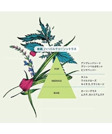 L'Occitane Hand Cream - Nourishing Shea Butter Herbae Formula - 1 Ounce - Buy Online on GoSupps.com