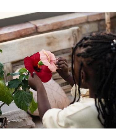 Oli & Carol Teething Ring for Babies - Hibiscus Pink | Safe Natural Rubber Baby Teether - Buy Online on GoSupps.com