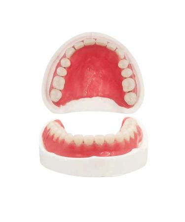 Fake Teeth-Do It Yourself Denture-Top and Bottom Temporary Teeth Easy and Convenient Common to All situations