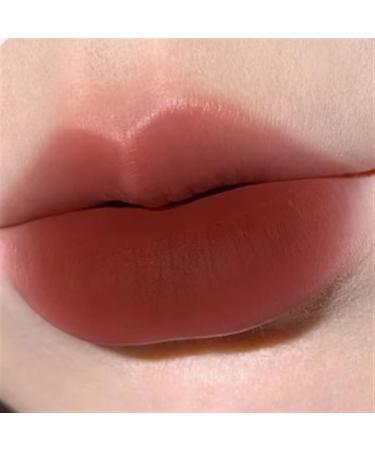 BADALO Velvet Mist Water Mist Lip Mud Soft Silky Matte Vegan White Non-stick Lip Gloss Lip Glaze Lipstick (Color : 4 latte cocoa)