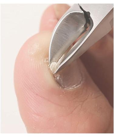 UNbit Office Scissors Craft Scissors Nail Groove Special Nail Scissors Oblique Mouth Olecranon Toe Nail Scissors Pedicure Artifact Olecranon Pliers Scissors Scissors (Color : Schwarz) - Buy Online on GoSupps.com