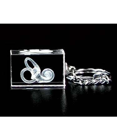 Buy Ear Set 10 15 - Premium Quality Earphones Worldwide Shipping - Buy Online on GoSupps.com