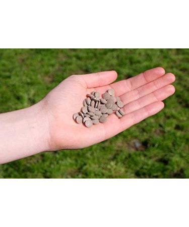 Barker and Barker Little Liver Dog Training Treats - Low Fat only 0.3kcal per treat. Human Grade NO Potato NO Rice Grain Free. Suitable from 8 weeks (500 treats - pot) 1 count (Pack of 1) - Buy Online on GoSupps.com