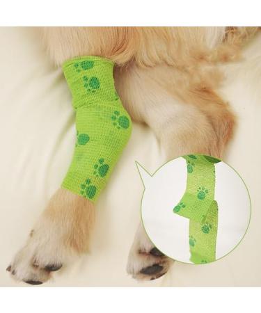 Anampion Self-Adhering Bandage - 5cm x 4.5m Non-Woven Adhesive Bandage for Humans & Animals | Flexible Self-Adhesive for Ankle Swelling | 12 Rolls in 12 Color Mix - International Shipping Available - Buy Online on GoSupps.com