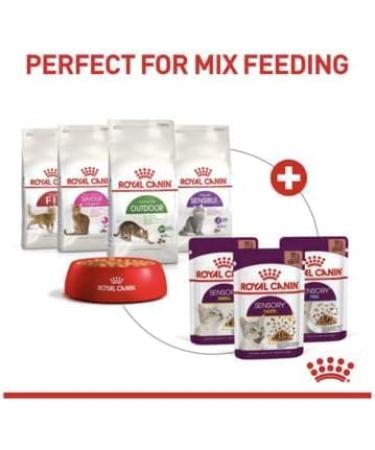 Royal Canin Sensory Taste in Jelly Wet Cat Food 85g (Pack of 48) - Buy Online on GoSupps.com