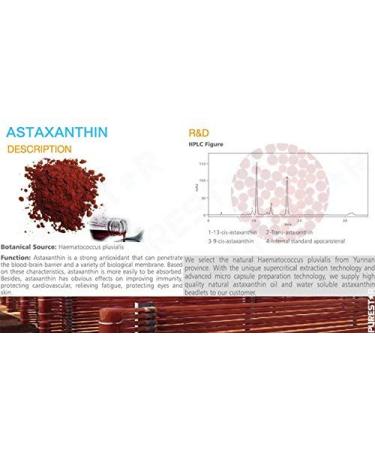 Giffarine Astaxanthin Age-Defying Neck Cream: Firming Anti-Wrinkle Patch for NeckLift & Anti-Aging - Tightening Moisturizer for Sagging Skin - Buy Online on GoSupps.com