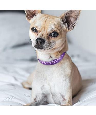Tagme Personalized Dog Collar for Small Dogs - Embroidered Reflective Nylon with Pet Name & Phone Number - Purple XS (1 Pack) - Buy Online on GoSupps.com