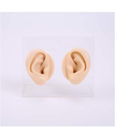 Silicone Ear Model for Acupuncture - Soft Silicone Ear Model for Teaching - 1 Pair Artificial Ear Model for Ear Picking Practice Studs Earring Display Props - Buy Online on GoSupps.com