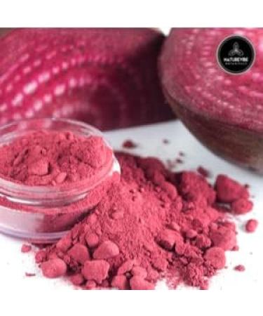 Naturevibe Botanicals Beet Root Powder 5lbs - Raw Non-GMO Bulk Bag (80 Ounces) - Premium Quality Superfood for Energy & Health - Buy Online on GoSupps.com