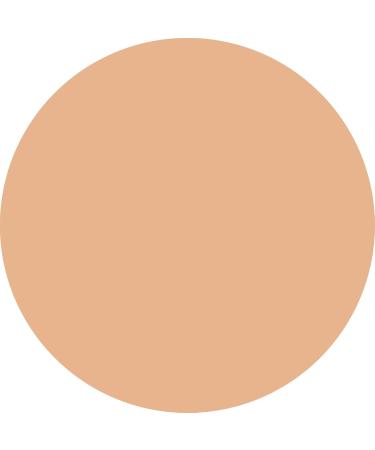 WYCON cosmetics Everyday Wear Liquid Concealer liquid with semimatte finish NW25 - Buy Online on GoSupps.com