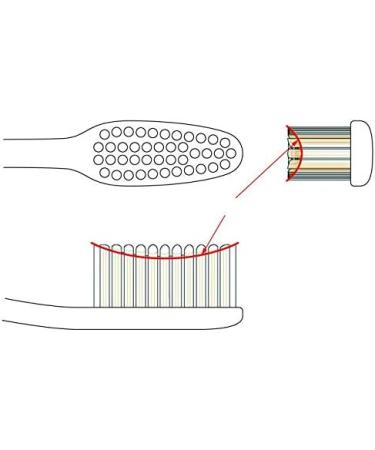 Swissdent Profi Gentle Toothbrush for Sensitive Teeth | Extra Soft Bristles & Patented Spoon Shape | Black & Red - Buy Online on GoSupps.com