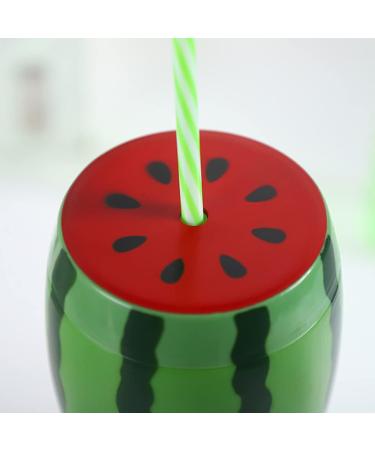 NUOBESTY 4pcs Fruit Shaped Plastic Drinking Cups - Watermelon Sippy Cup Set for Summer Luau Party - Buy Online on GoSupps.com