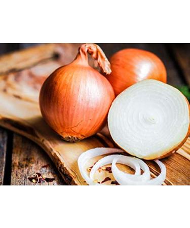US-FARMERS Natural Premium Onion Powder 5.5 LB - Top Quality Spice (1 Pack) - Buy Online on GoSupps.com