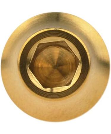 Wanyifa Titanium M5x12mm Bicycle Water Bottle Cage Bolts with Washers - Pack of 4 Gold - Buy Online on GoSupps.com