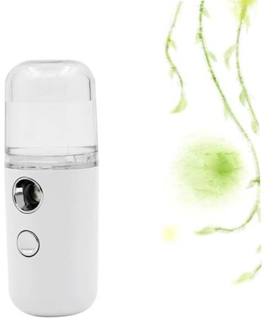 Hemoton 2 Pcs Skin Moistener Portable Sprayer Facial Sprayer Handheld Face Sprayer Nano Facial Mister White - Buy Online on GoSupps.com