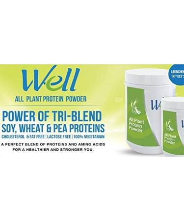 Buy WELL All Plant Protein Powder (200g) - Vegan Nutrient-Rich International Shipping Available - Buy Online on GoSupps.com