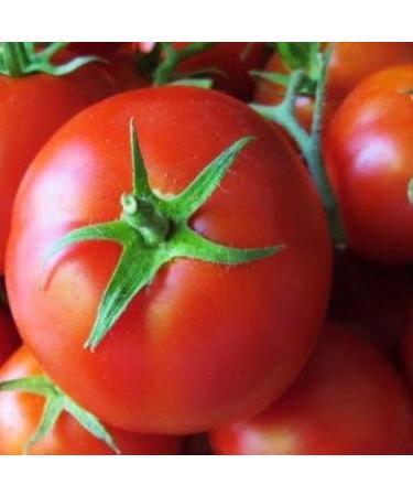 Nature Visiobronz 60 capsules - Buy Online on GoSupps.com