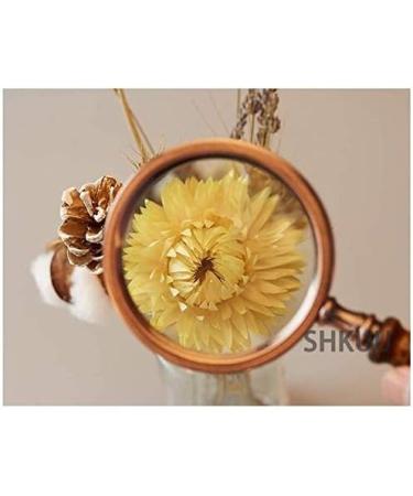 Round 10X 88mm Glass Lens Magenifier Loupe for Reading Books Newspaper Maps Check Coin Insect Rock Map Vintage Wooden Handle Better Life - Buy Online on GoSupps.com