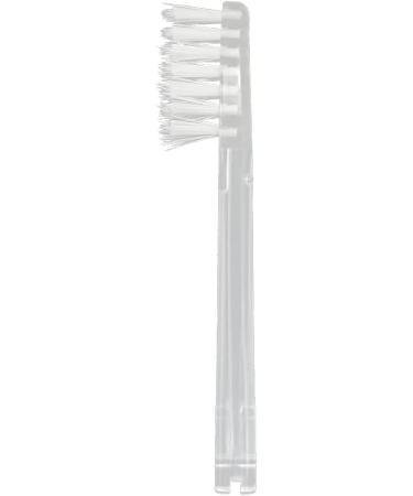 Ionpa DM Replacement Brush Head - Clear 2pcs/Pack - Ionic Kiss for Hygiene - Buy Online on GoSupps.com