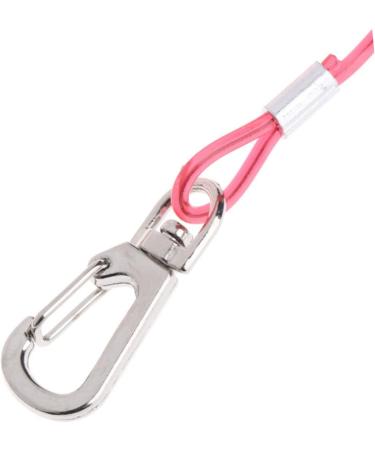 BESPORTBLE 3 Pcs 5 Pet Leash Cockatiel Harness and Leash Rabbit Leash Bunny Harness Bunny Leash Bird Budgie Size 2x3pcs As Shownx3pcs - Buy Online on GoSupps.com