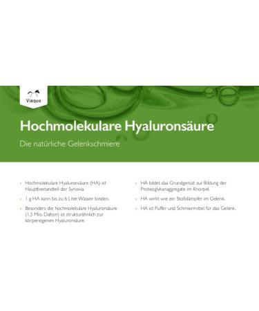 Vetvital Viequo Orthohyl HA for Horses - 1L Joint Supplement for Mobility & Resilience | Ideal for All Ages & Sports Horses - International Shipping Available - Buy Online on GoSupps.com