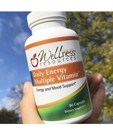 Wellness Resources Daily Multiple Vitamin Without Iron - Vitamin B12 Folate & Bioavailable B Vitamins - 90 Capsules - Buy Online on GoSupps.com
