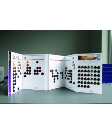 Colorevo 8.1 Hell Ashblond - Premium International Hair Color Long-Lasting & Vibrant Results - Buy Online on GoSupps.com