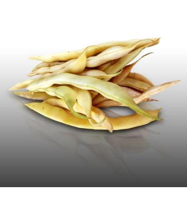75 g Seeds to sow Le Grenier dAbondance Coco Gros Sophie row bean Phaseolus vulgaris - Buy Online on GoSupps.com