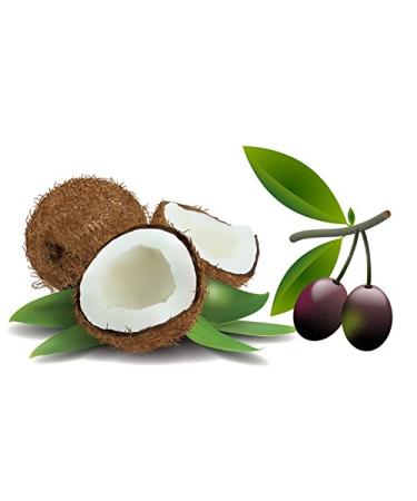 Sage Scrub Coconut Castile Soap | Organic Shea Butter | Handmade Vegan & Natural | Moisturizing | International Shipping - Buy Online on GoSupps.com