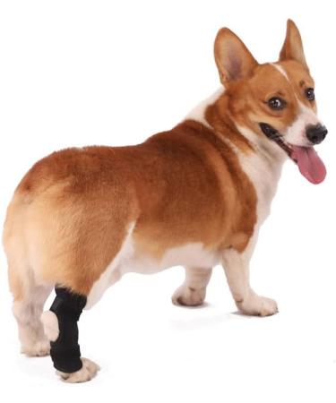 Dog Knee Brace 2-Pack Dog Leg Brace with Bimetallic Spring Bars Canine Rear Hock Support Protects Wounds Heals and Prevents Injuries and Sprains Helps with Loss of Stability Caused by Arthritis (M) - Buy Online on GoSupps.com